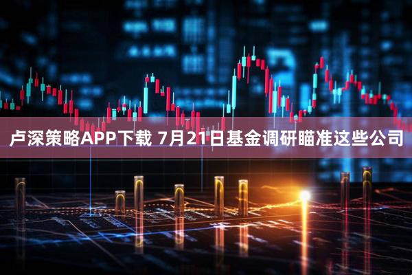 卢深策略APP下载 7月21日基金调研瞄准这些公司