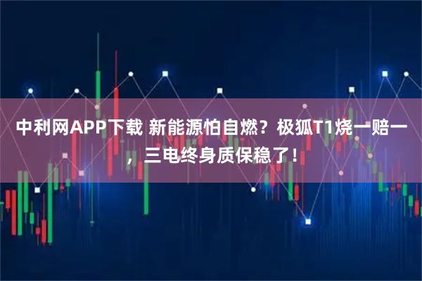 中利网APP下载 新能源怕自燃?极狐T1烧一赔一,三电终身质保稳了!