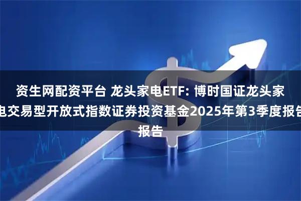 资生网配资平台 龙头家电ETF: 博时国证龙头家电交易型开放式指数证券投资基金2025年第3季度报告