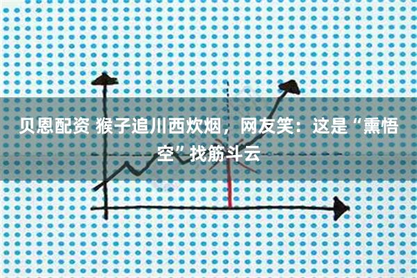 贝恩配资 猴子追川西炊烟，网友笑：这是“熏悟空”找筋斗云